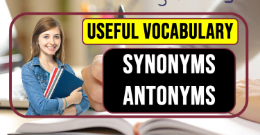 Top vocabulary words Day-17